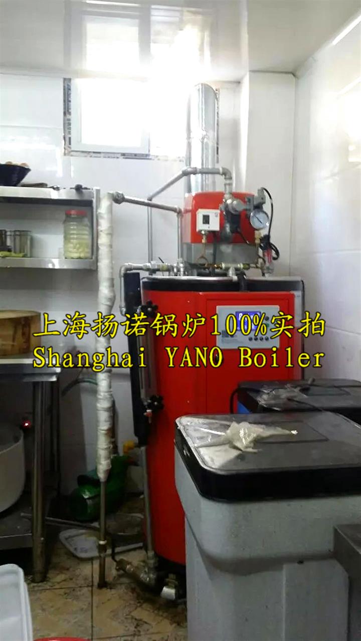 35kg、50kg蒸汽量燃油燃氣蒸汽發(fā)生器免辦鍋爐使用證